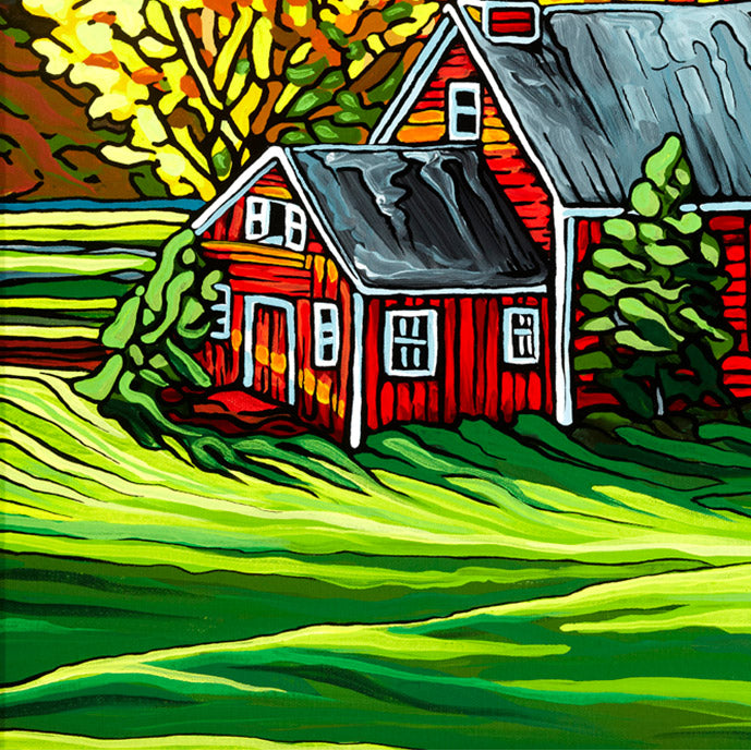 #47 – La lumière du matin dans la vallée