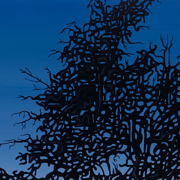 #69 – Contemplateur du soleil