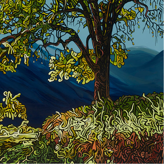 #77 – Le coude du fleuve