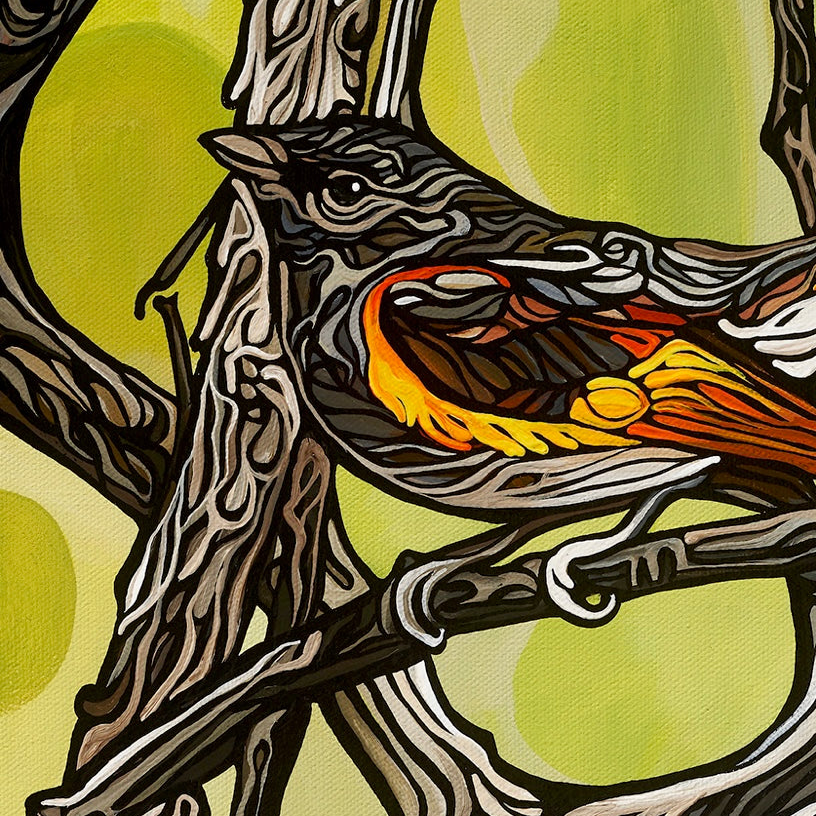 #164 – Rayon de lumière